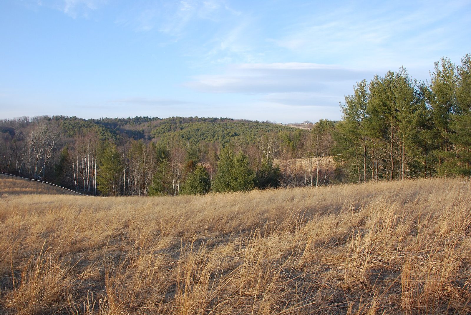 Floyd County - field